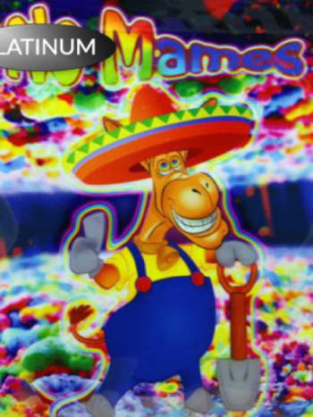 No Mames Herbal Incense 10g No Mames Herbal Incense 10g